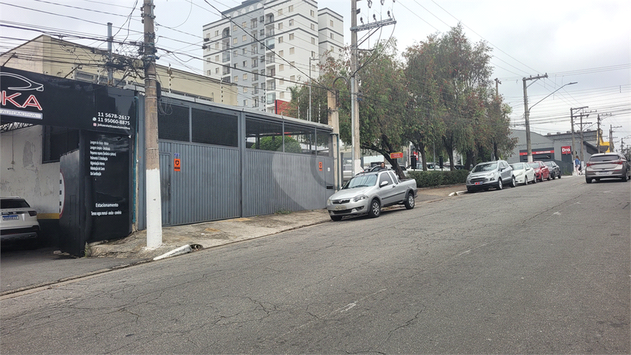 Foto REO1121973