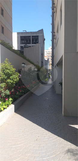 Foto REO1121977