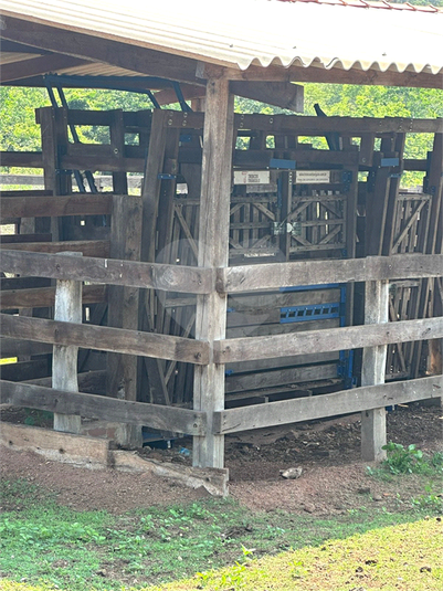 Foto REO1121979