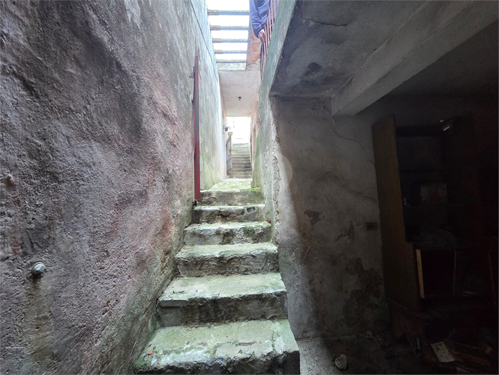 Foto REO1121981