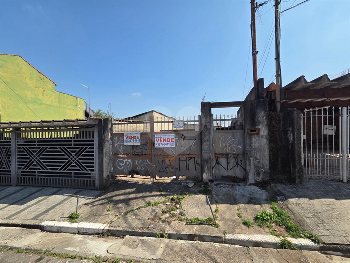 Foto REO1121981