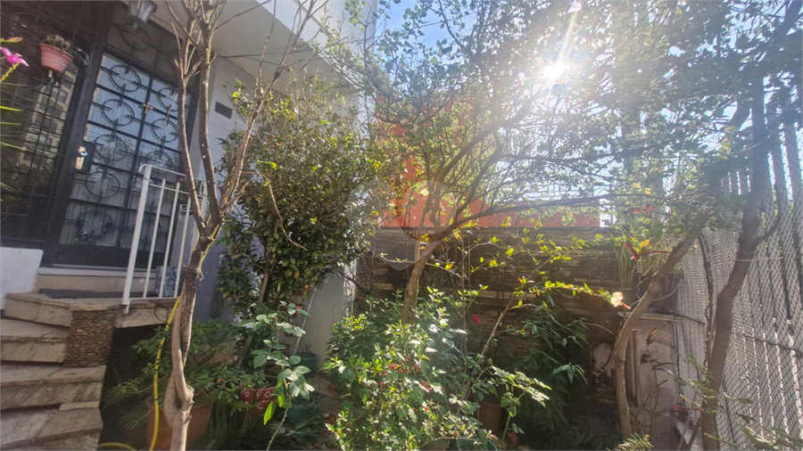 Foto REO1121987