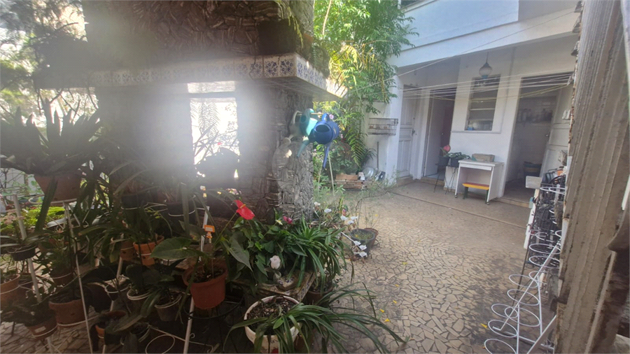 Foto REO1121987