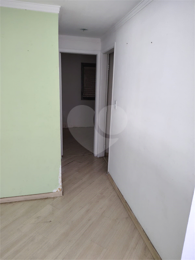 Foto REO1121991
