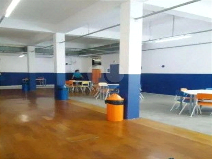 Foto REO1122038
