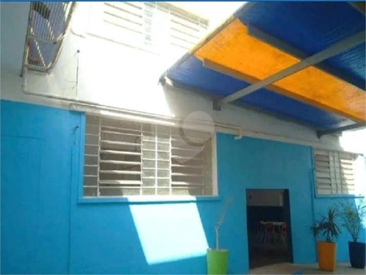 Foto REO1122038