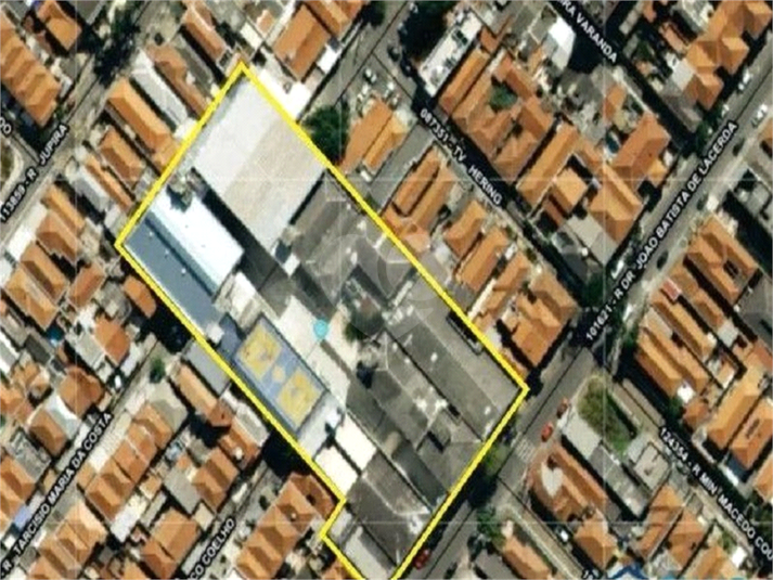 Foto REO1122038