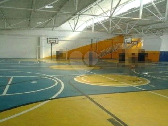Foto REO1122038