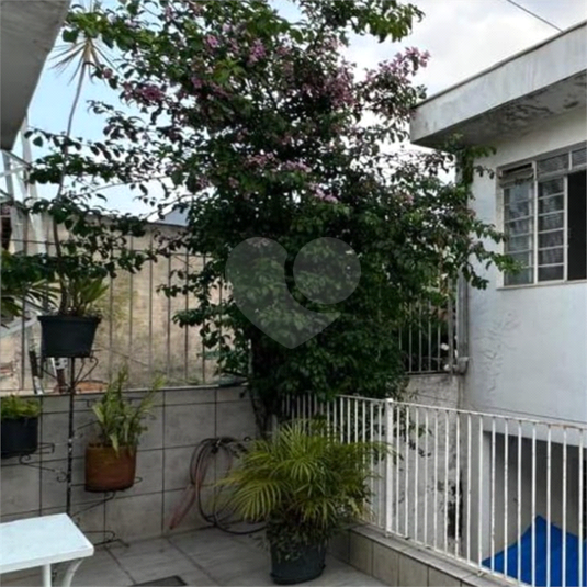 Foto REO1122088