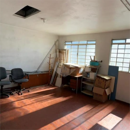 Foto REO1122088