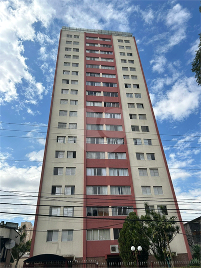 Foto REO1122092