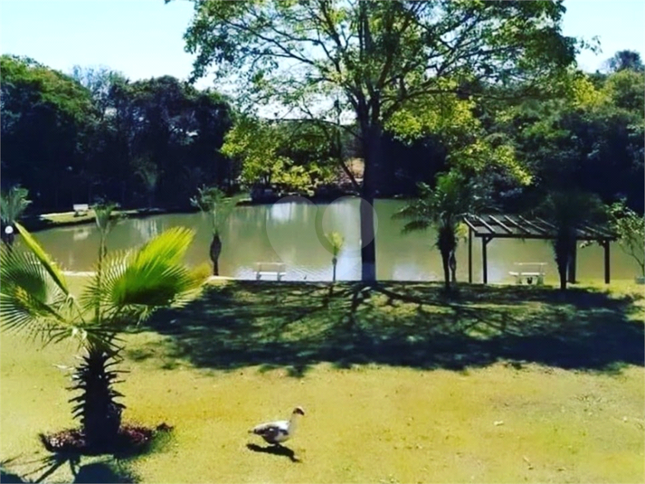 Foto REO1122134