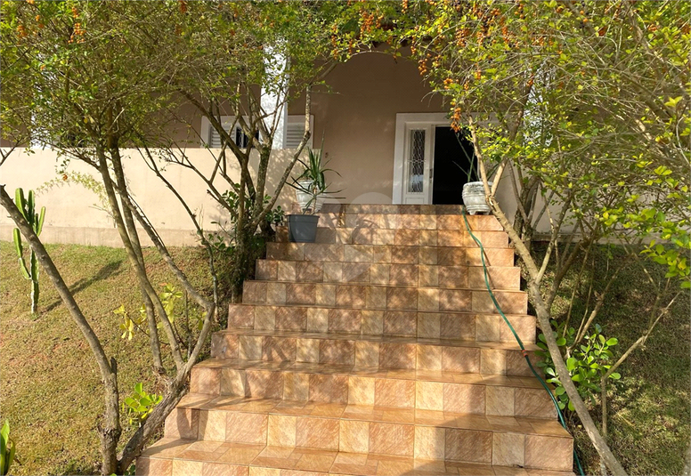 Foto REO1122192
