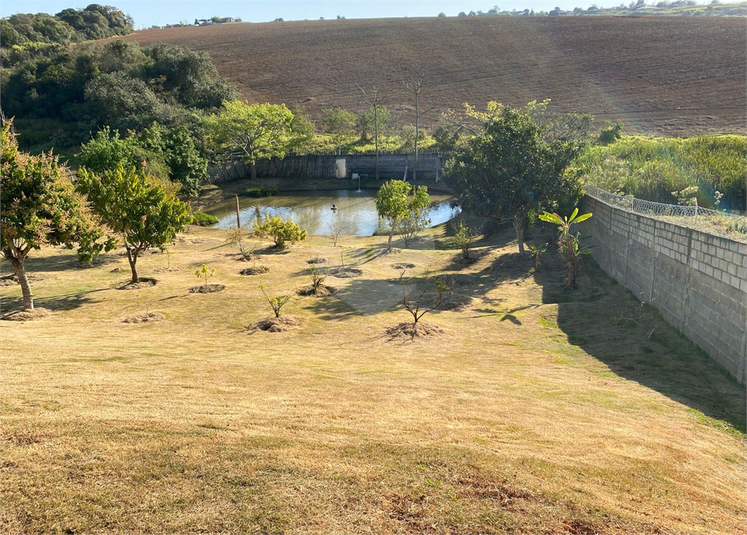 Foto REO1122192