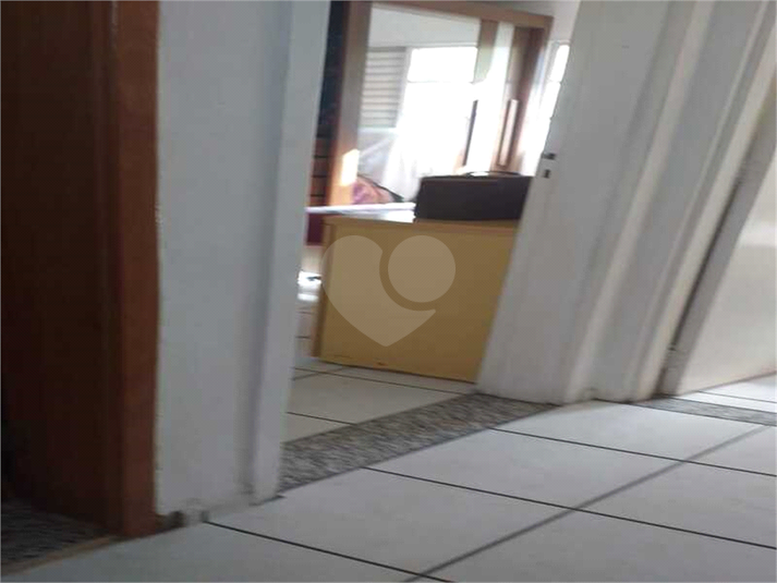 Foto REO1122196