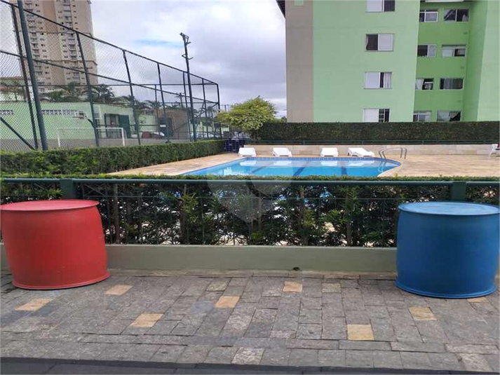 Foto REO1122196