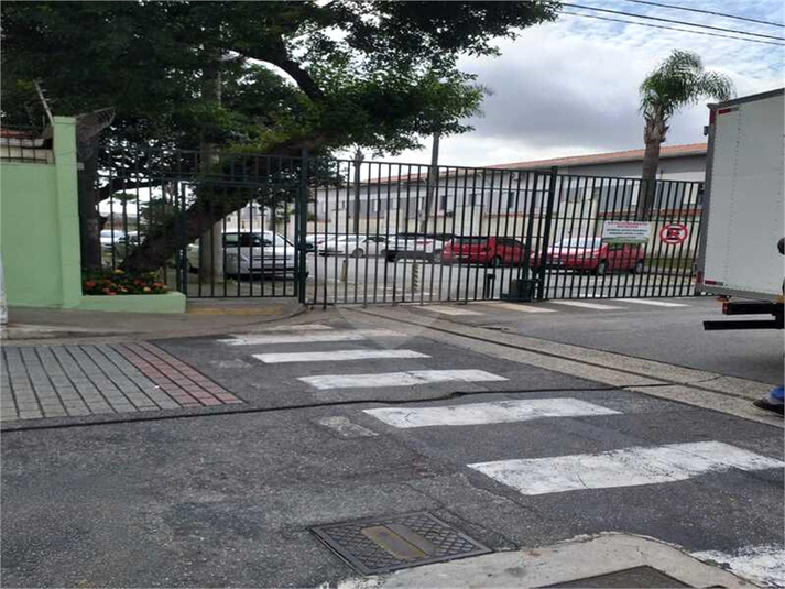 Foto REO1122196