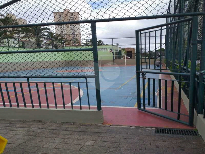 Foto REO1122196