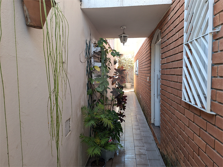 Foto REO1122197