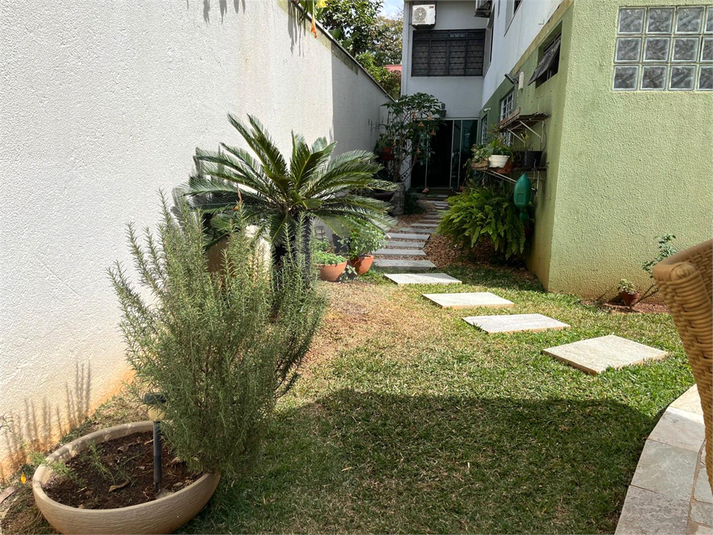 Foto REO1122227