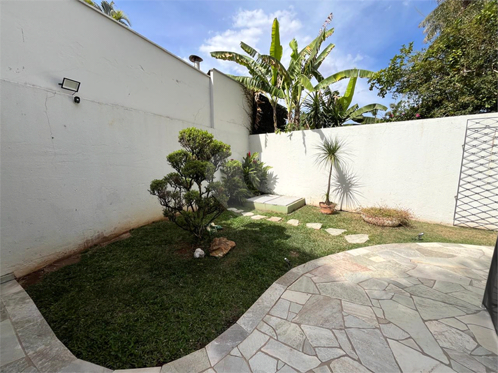 Foto REO1122227