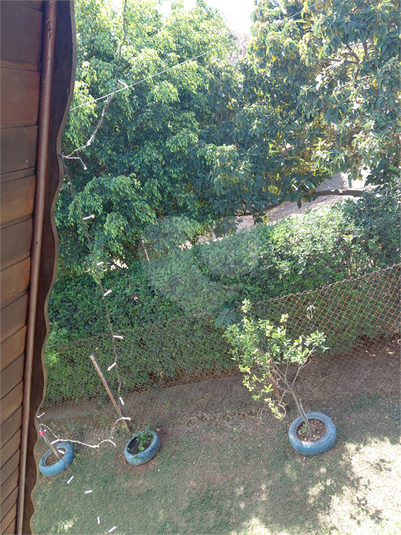 Foto REO1122233