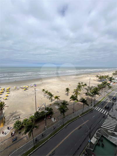 Foto REO1122244
