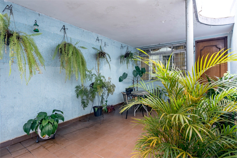 Foto REO1122262