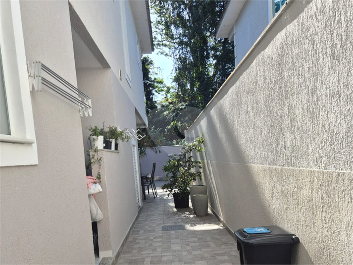 Foto REO1122263