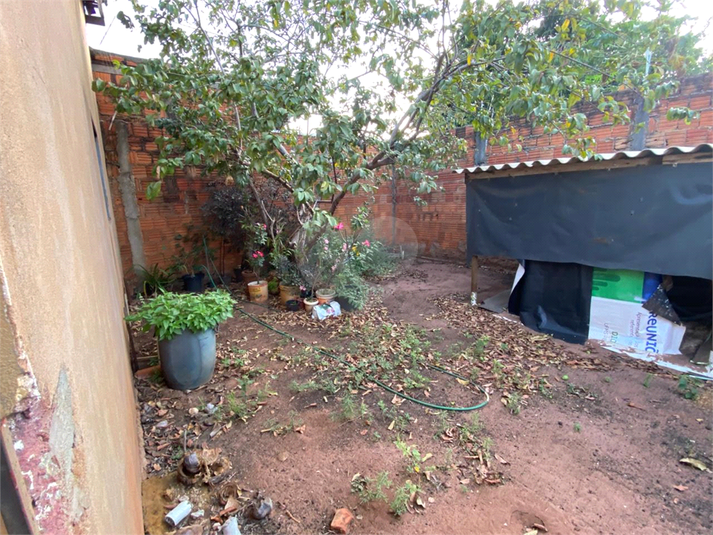Foto REO1122265