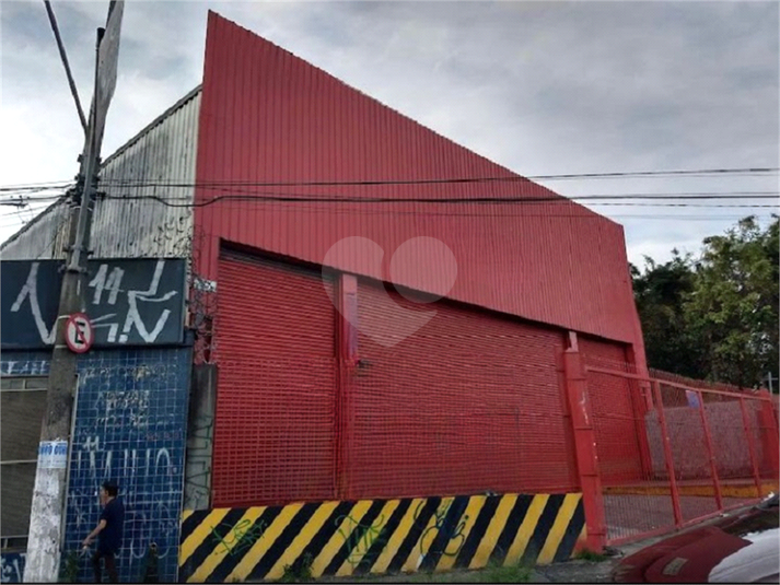 Foto REO1122271