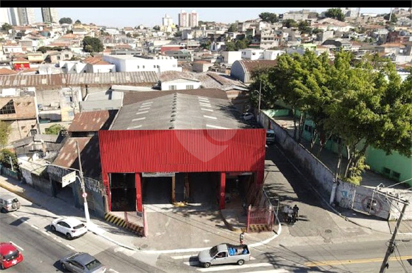 Foto REO1122271