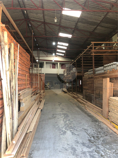 Foto REO1122271