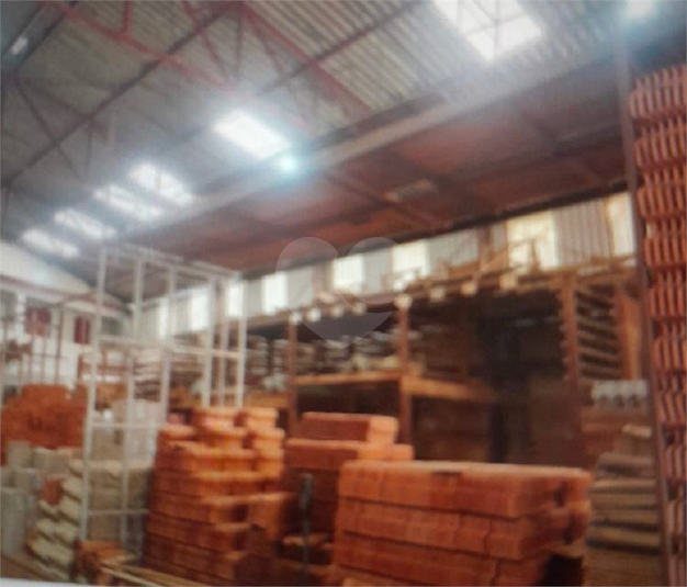 Foto REO1122271