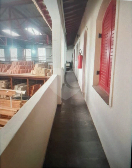 Foto REO1122271