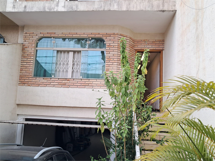 Foto REO1122289