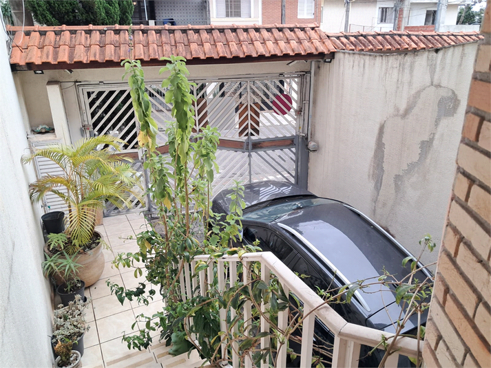 Foto REO1122289