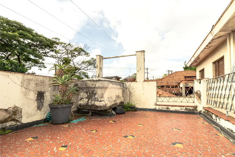 Foto REO1122294