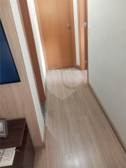 Foto REO1122308