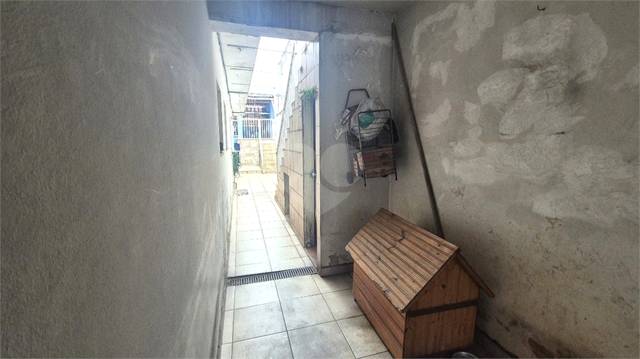 Foto REO1122315