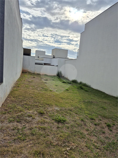 Foto REO1122317