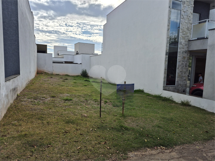 Foto REO1122317