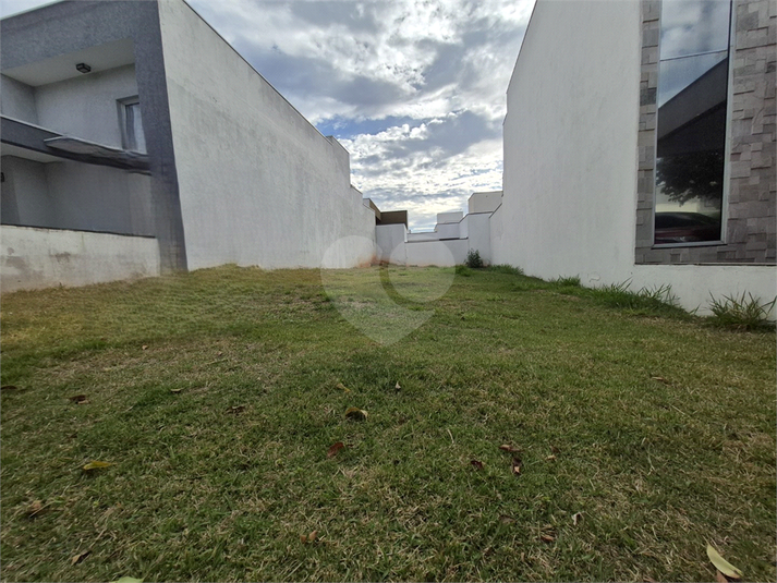 Foto REO1122317