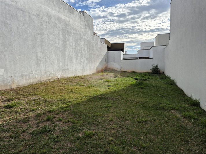 Foto REO1122317