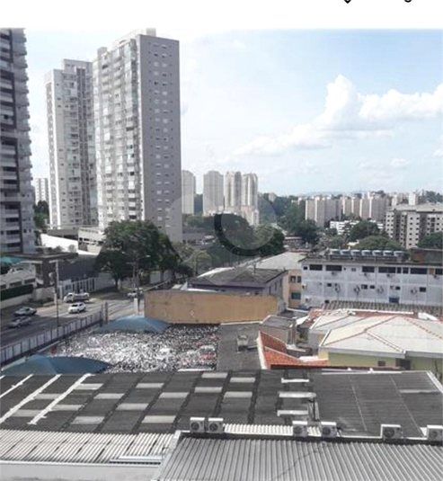 Foto REO1122324