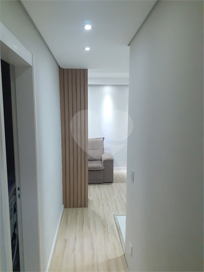 Foto REO1122328