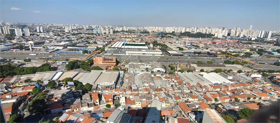 Foto REO1122331