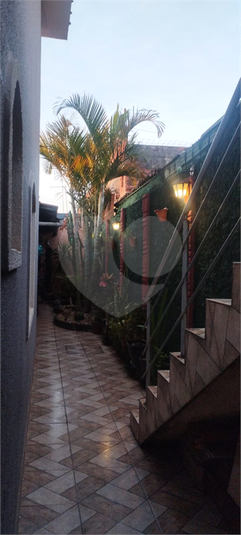 Foto REO1122349