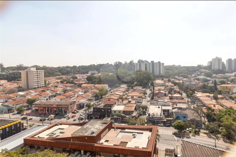 Foto REO1122362