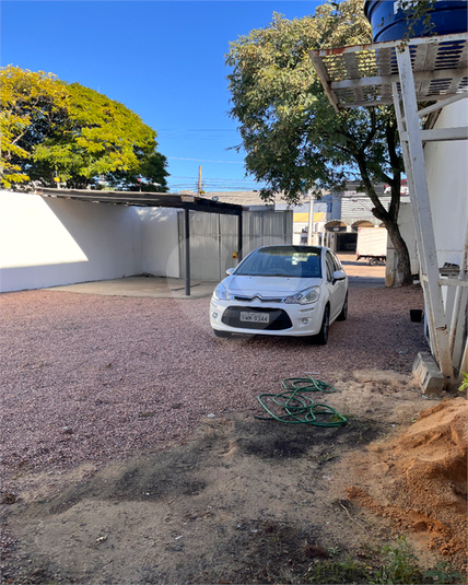 Foto REO1122363
